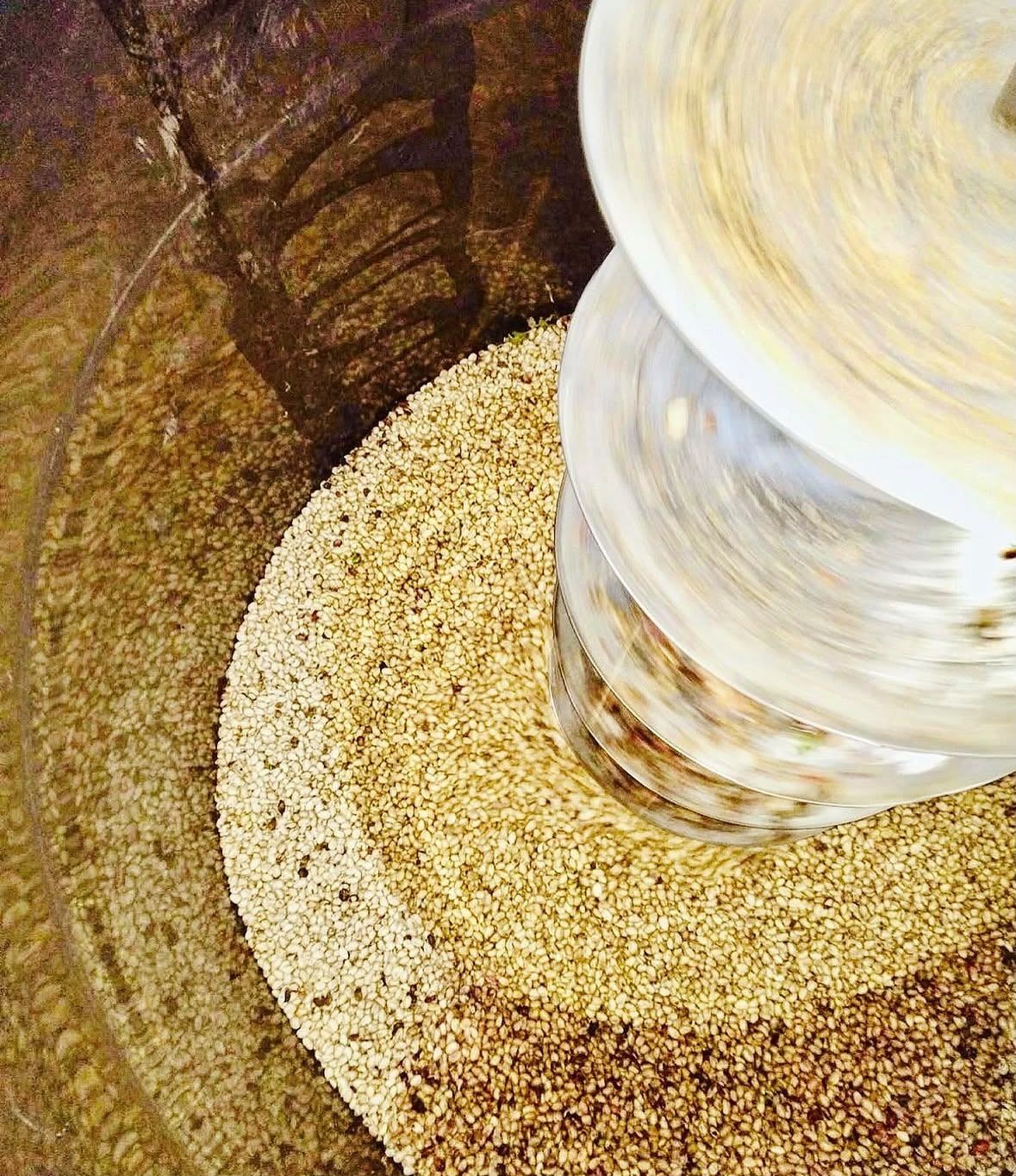Pistacho con cáscara a granel en una tolva